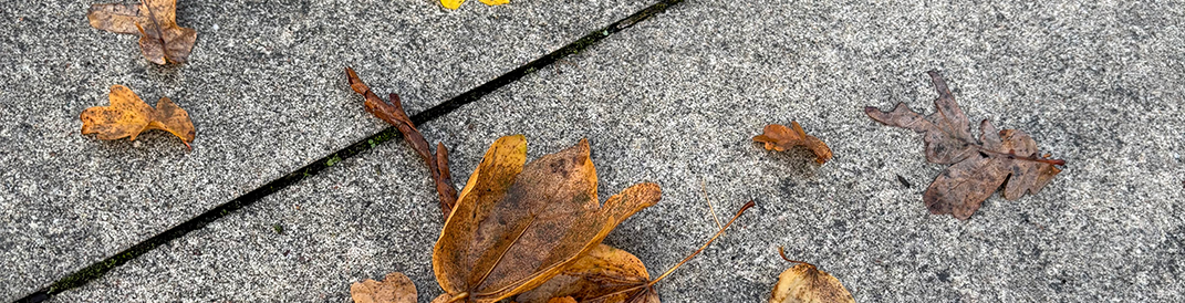 Voorkom bruine vlekken deze herfst