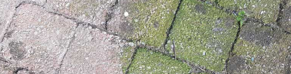 3 tips om groene aanslag op uw tuintegels te verwijderen of te voorkomen