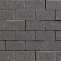 Rechteckpflaster 20x10x8 cm Antra
