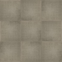 Optimum Tuintegel 50x50x5 cm MF Grijs