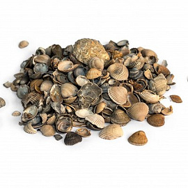 Schelpen 8-16Mm - Big bag a 1000 kg