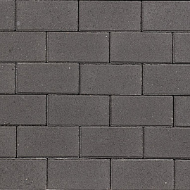 Rechteckpflaster 20x10x8 cm Antra