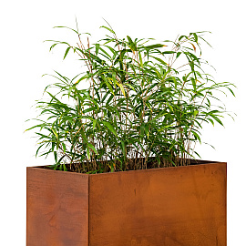 Bloembak cortenstaal Hudson 60x120x60cm