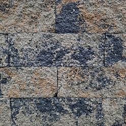 Splitrock 32x13x11 cm 2.0 musselkalk