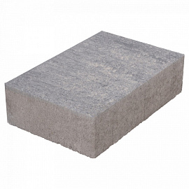 Terrassteen+ 20x30x8 cm Grezzo