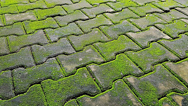 groene aanslag op h profiel klinkers