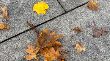 158 img 5550   klein