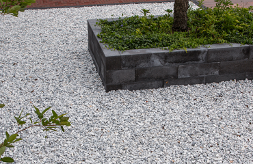 header blog website a18 (1)