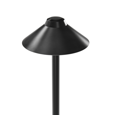 In-Lite Nail