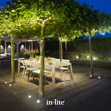 in lite flux 12v