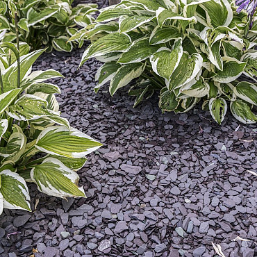 canadian slate violet 10 30 mm   20 kg verpakking