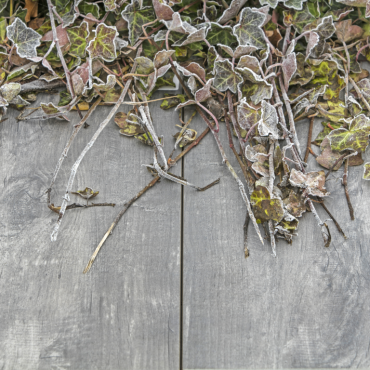 geoceramica 60x30x4 timber grigio