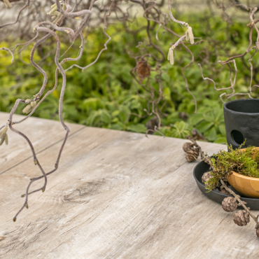 geoceramica 80x40x4 timber noce