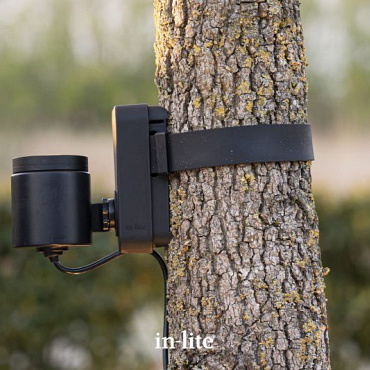 in lite brace band