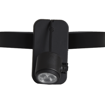 in lite brace band