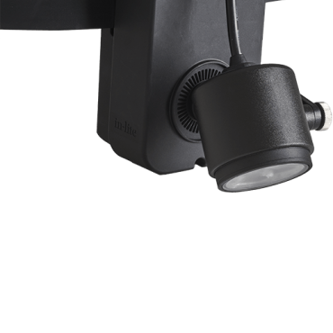 in lite brace band