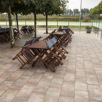 pavage 30x60x6 cm bourgogne
