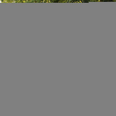 bloembak modulair   antraciet 150x90x56 cm