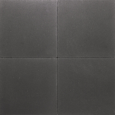 premiton plus xxs 60x60x4 cm la palma