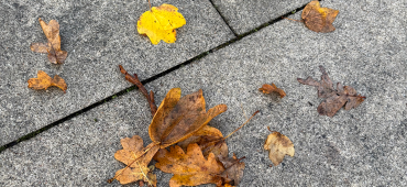 Voorkom bruine vlekken deze herfst