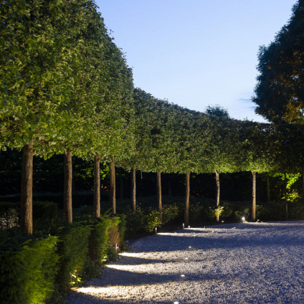 In-Lite Ace White 12V