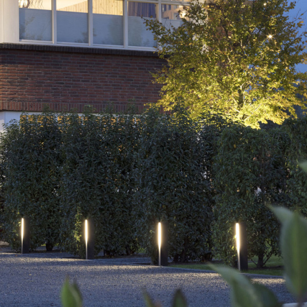 In-Lite Evo Black 12V