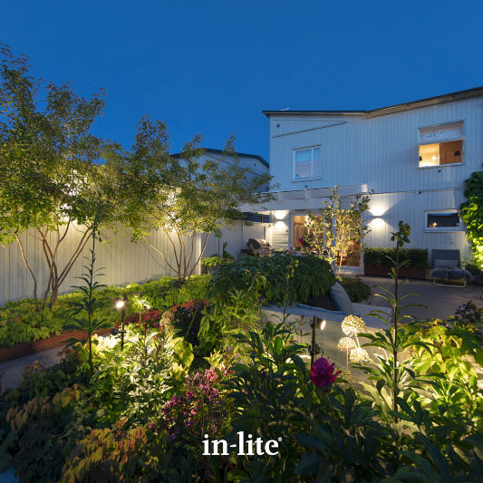 In-Lite Mini Scope Duo 12V