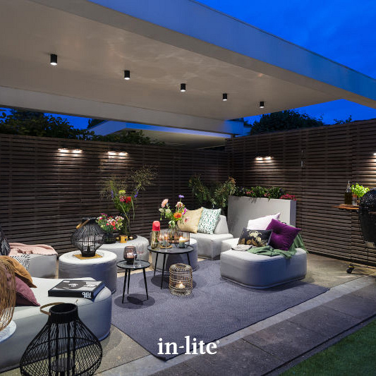 In-Lite Scope Ceiling