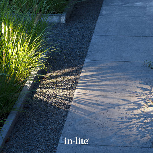 In-Lite Ace High Rose Silver 12V