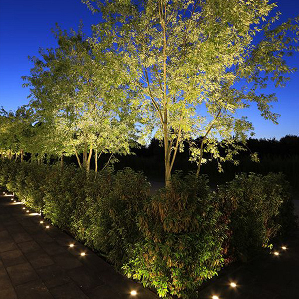 In-Lite Big Nero Narrow 12V