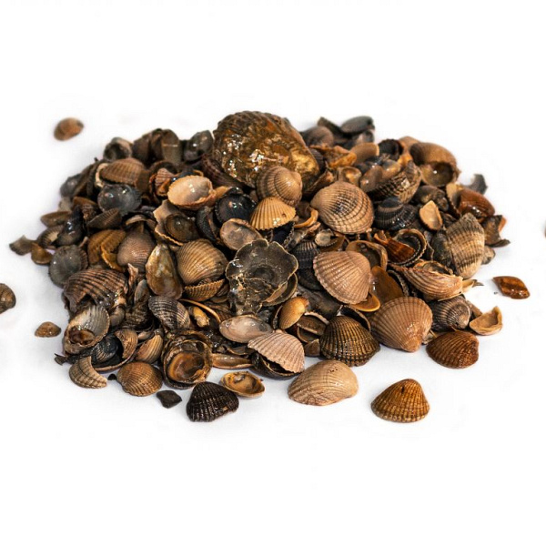 Schelpen 8-16 mm - 15 Ltr verpakking