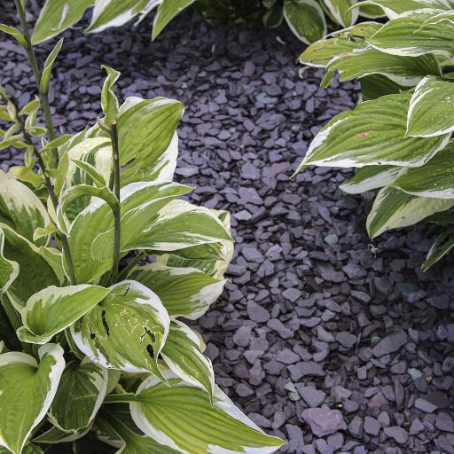 Canadian Slate Violet 10-30 mm - 20 kg verpakking