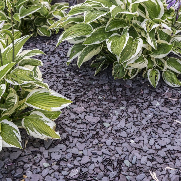 Canadian Slate Violet 10-30 mm - 20 kg verpakking