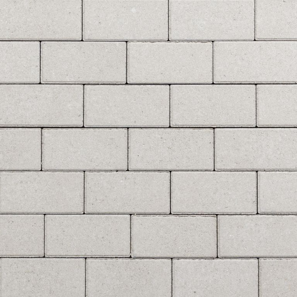 Rechteckpflaster 20x10x8 cm Grijs