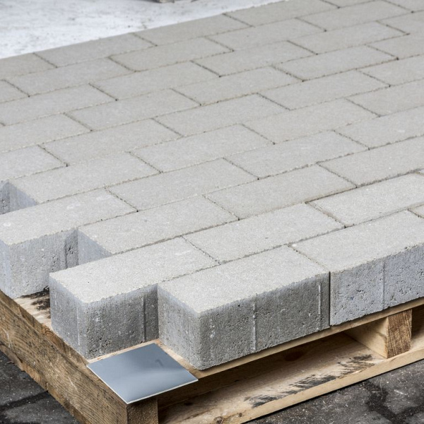 Rechteckpflaster 20x10x8 cm Grijs