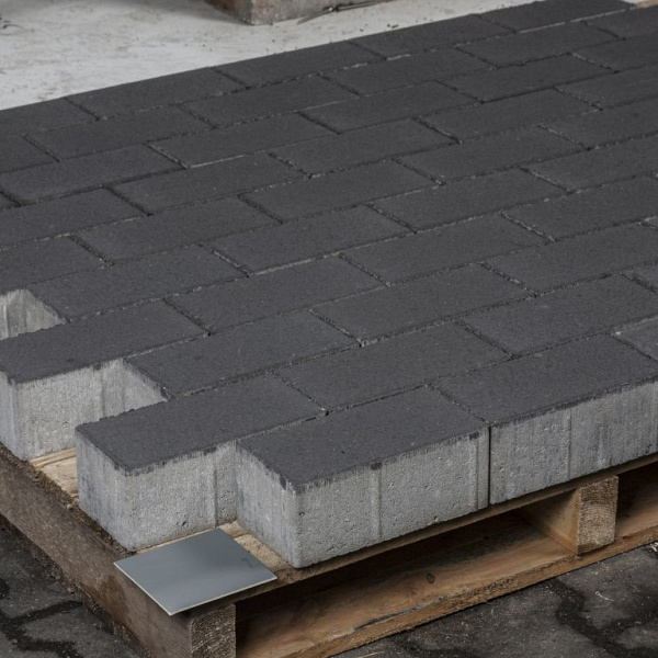 Rechteckpflaster 20x10x8 cm Antra