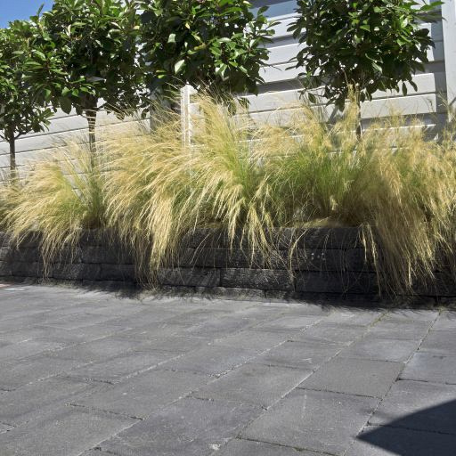 Antico getrommeld 20x30x6 cm Porto