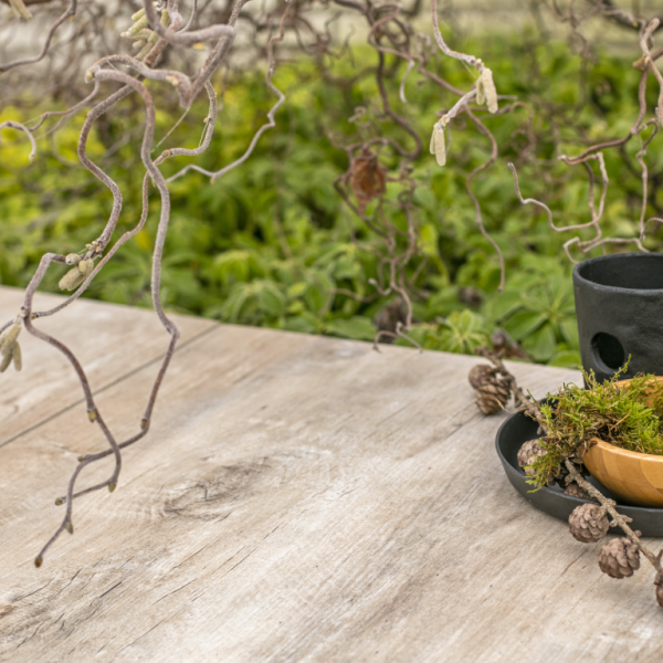 GeoCeramica® 60x30x4 Timber Noce