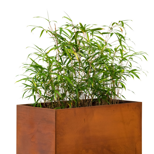 Bloembak cortenstaal Hudson 60x120x60cm