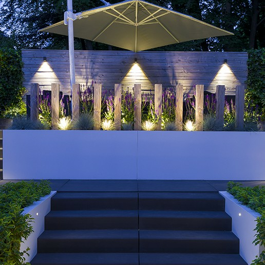 In-Lite Ace Down Dark  12V