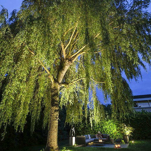 In-Lite Big Nero 12V