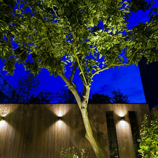 In-Lite Big Scope Narrow 12V