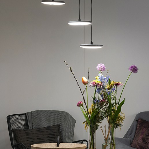 In-Lite Disc Pendant Black 12V