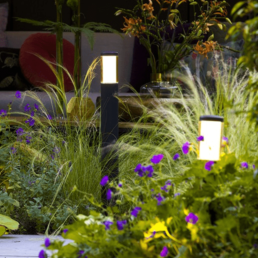 In-Lite Liv Dark 12V