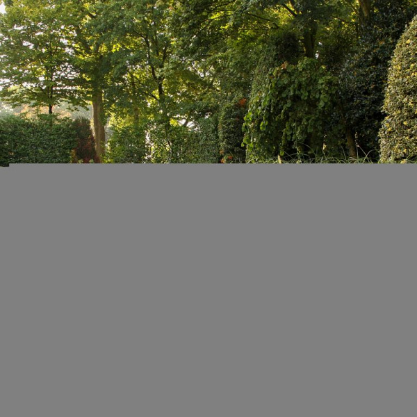 Plantenbak Modulair Antraciet 240x90x28 cm