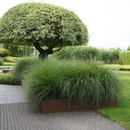 Borderpaneel flex 220x56 - CORTEN