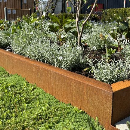 U-profiel ongelijkzijdig opsluitband 6cm 300x4,6x19,6x6,4 cm - CORTEN