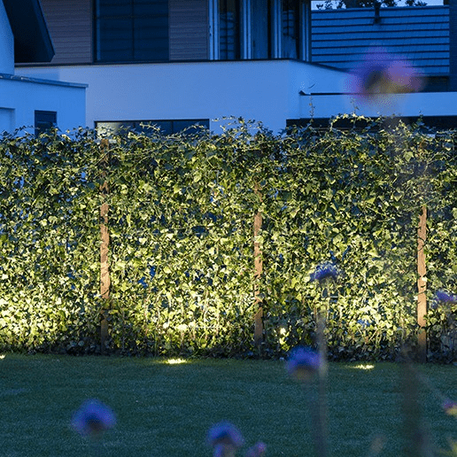 In-Lite Luna (Without Ring)