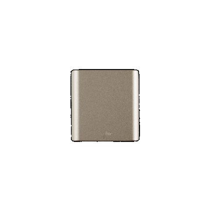 In-Lite Ace Up-Down 100-230V Rosé Silver