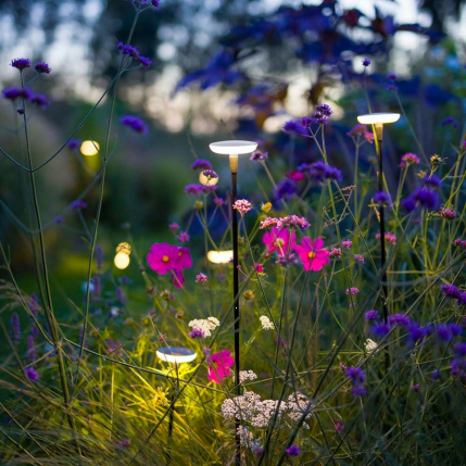 In-Lite Sway Tube Low